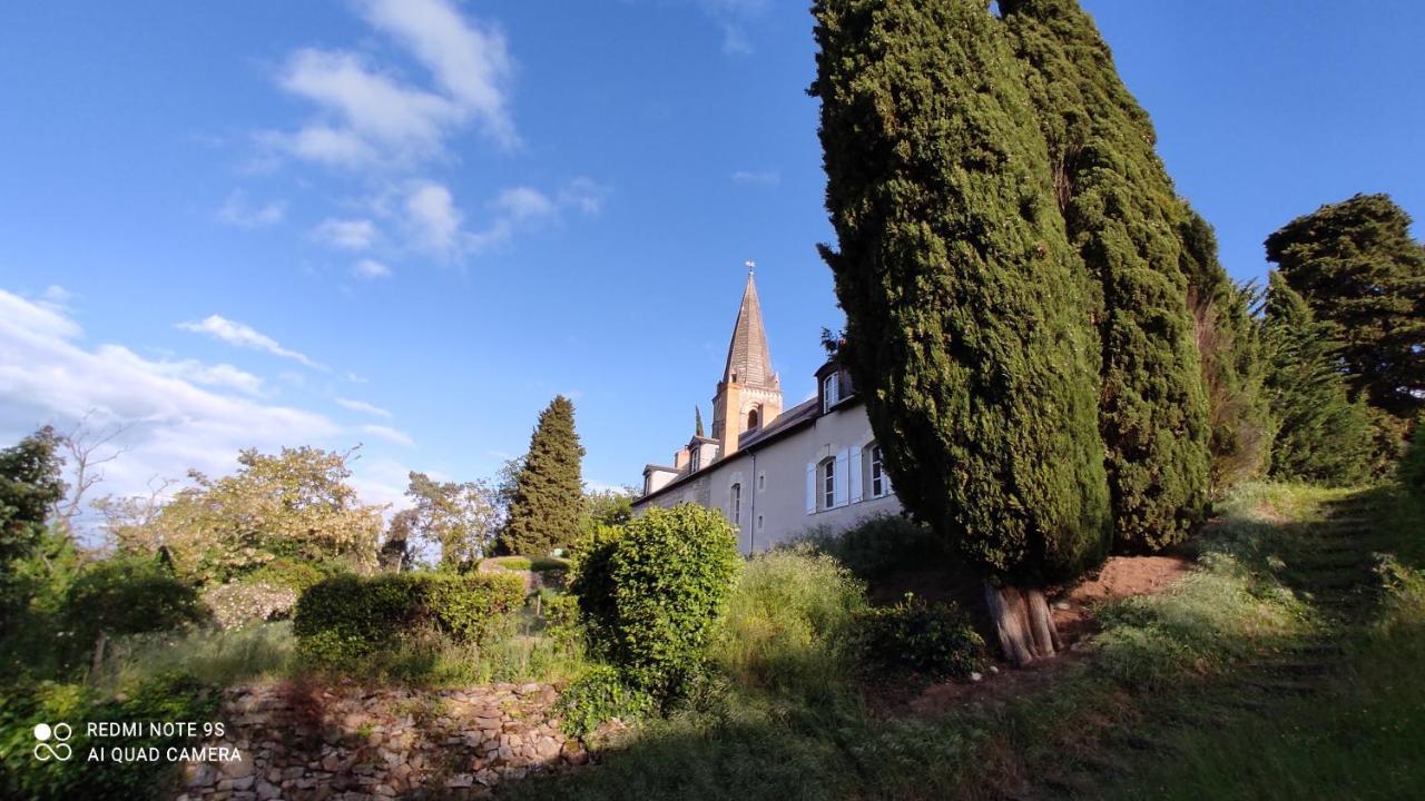 לינה וארוחת בוקר Gennes-Val-de-Loire L'Angeline מראה חיצוני תמונה